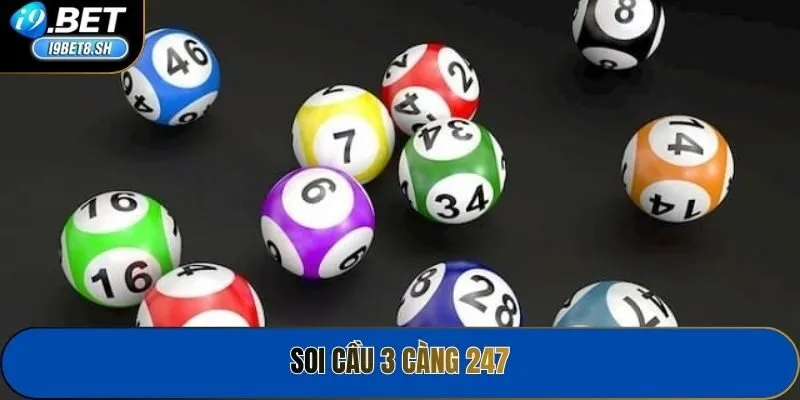 Soi Cầu 3 Càng 247